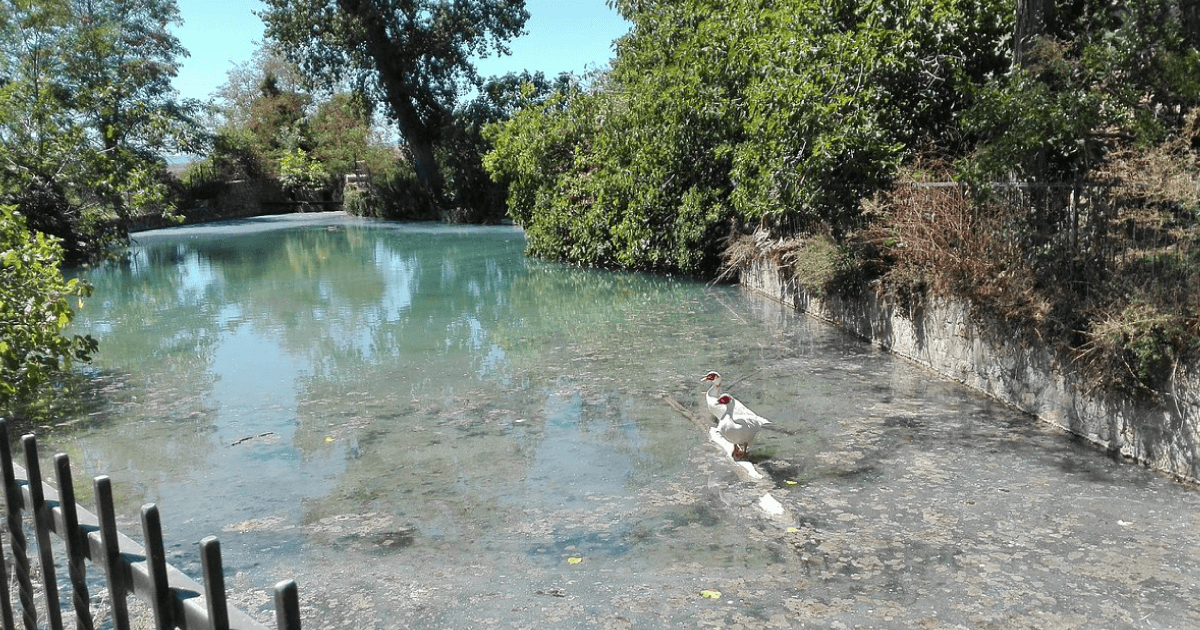 car rental San Casciano dei Bagni/Author: www.tripadvisot.com